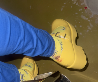 i wore the widely celebrated yellow mary janes and matching zebra socks