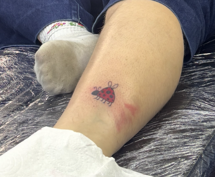 same ladybird tattoo on lily's leg
