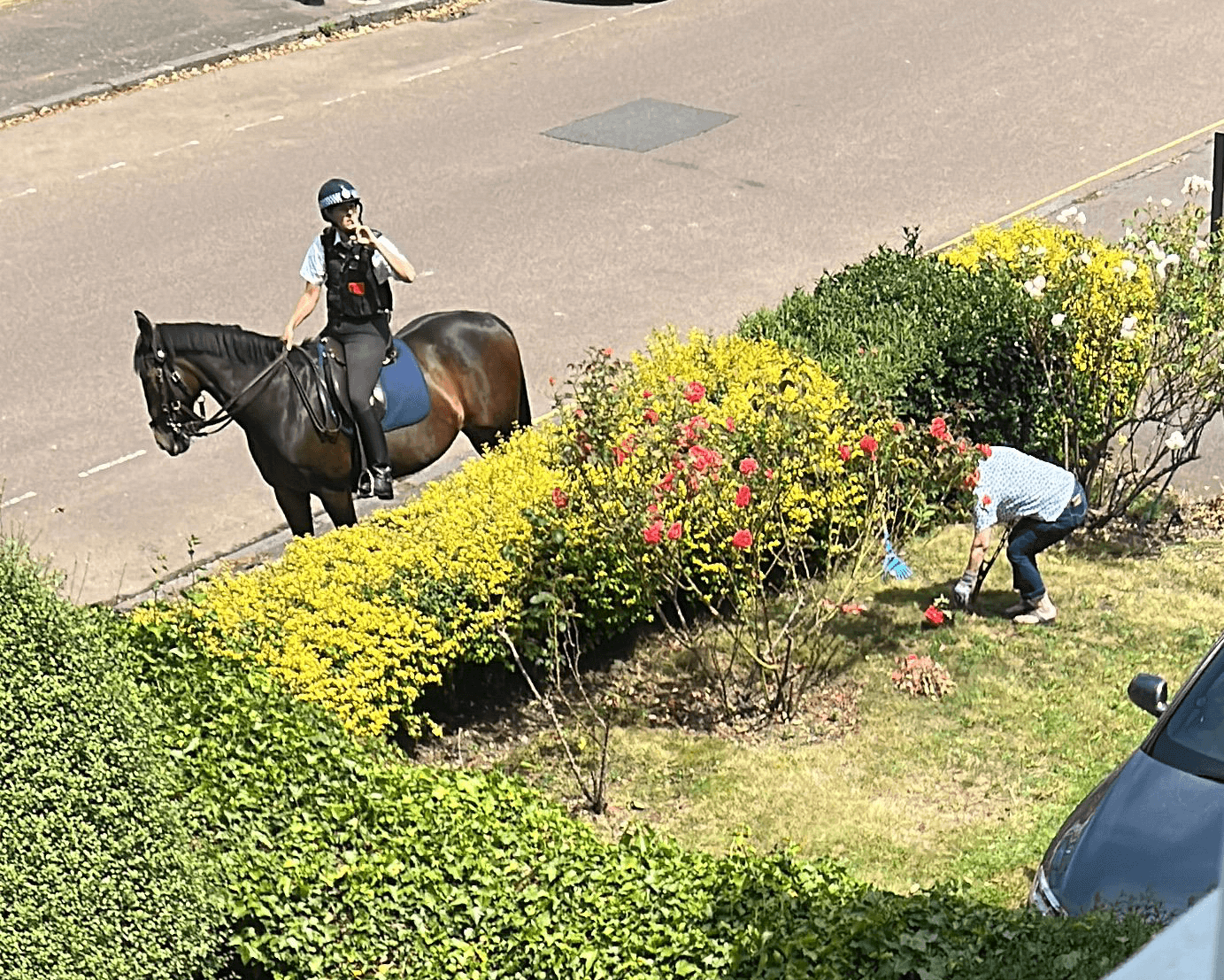 crouching woman in garden shot from above, police woman on police horse in street looking in