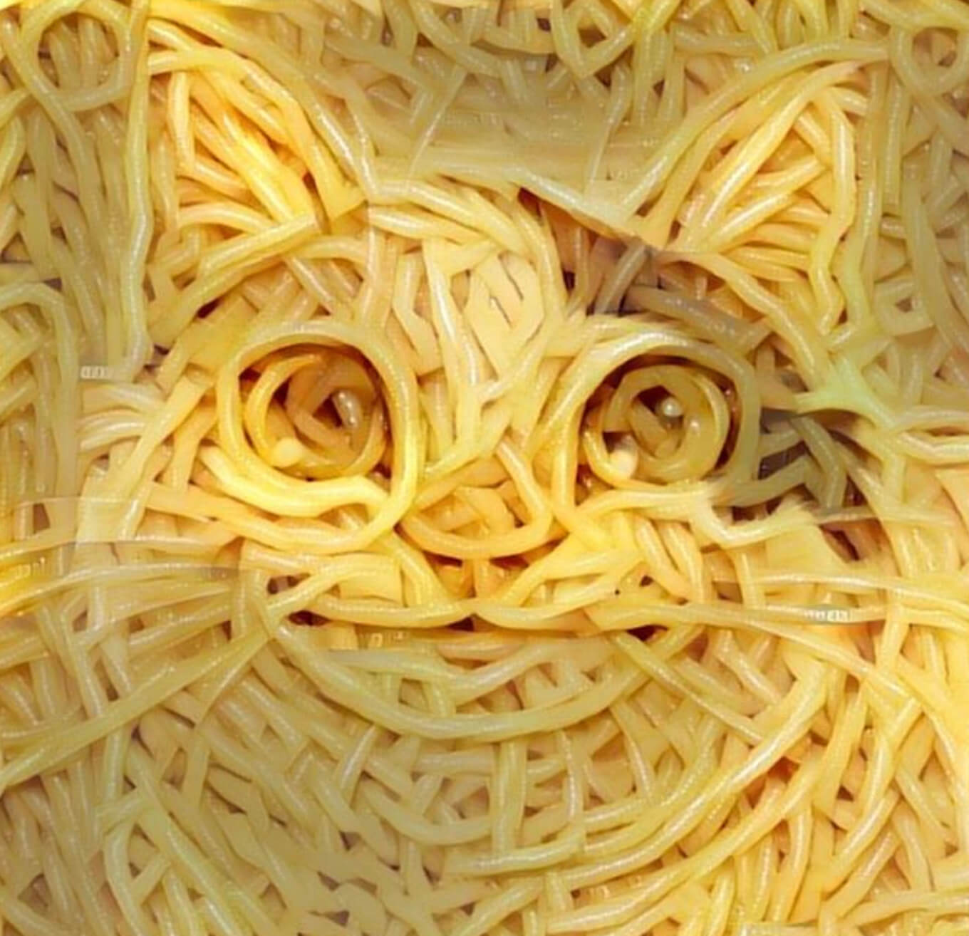 cat's face made of spaghetti